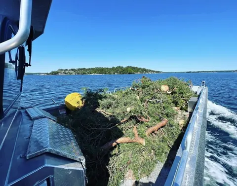 Grenar och ris lastat på arbetsbåten BOB